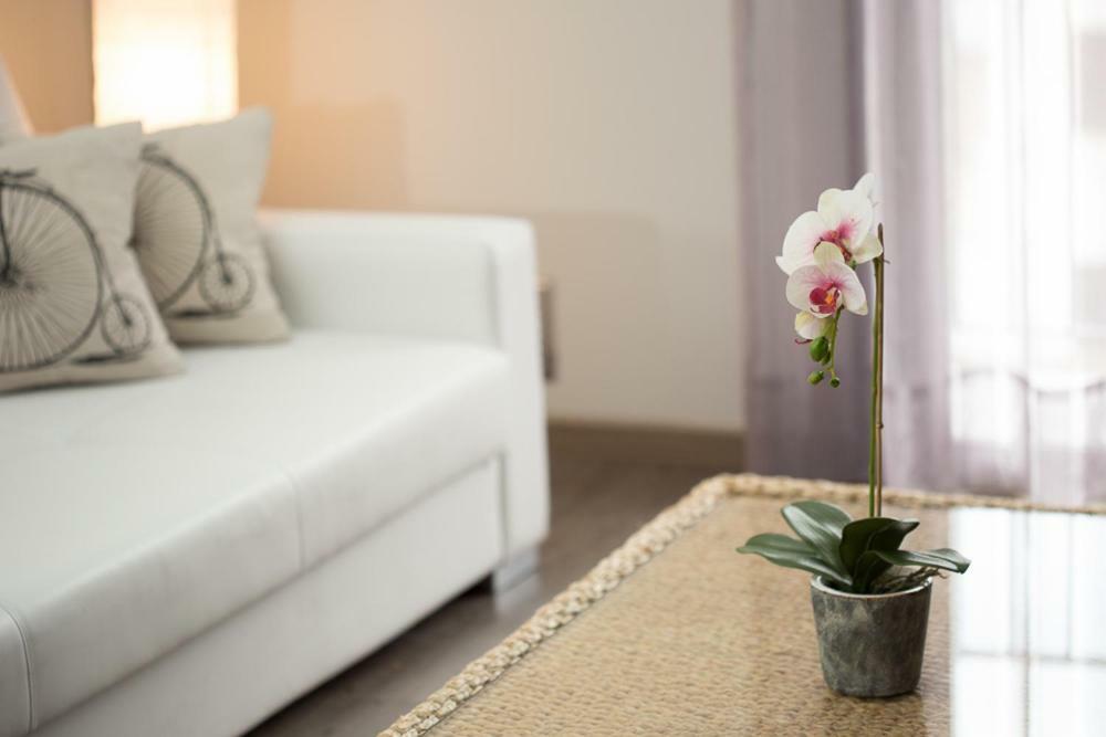 Apartamentos Dacris Jerte Zewnętrze zdjęcie